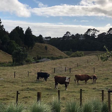 Pukeko Lodge Bnb New Plymouth Extérieur photo