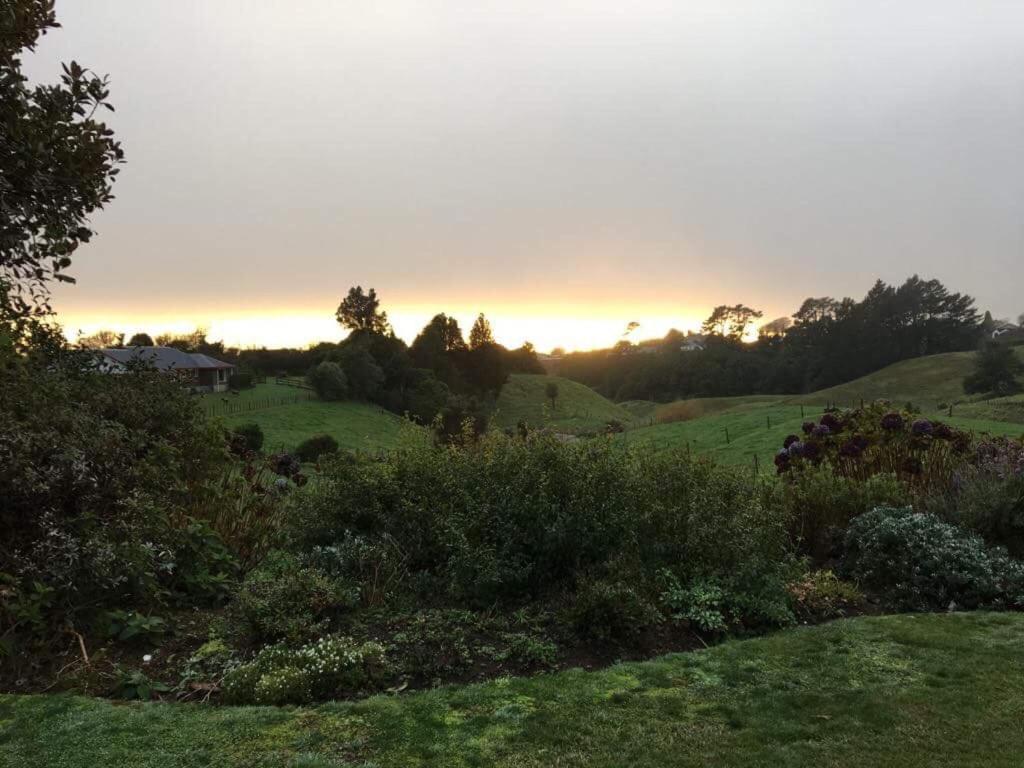 Pukeko Lodge Bnb New Plymouth Extérieur photo